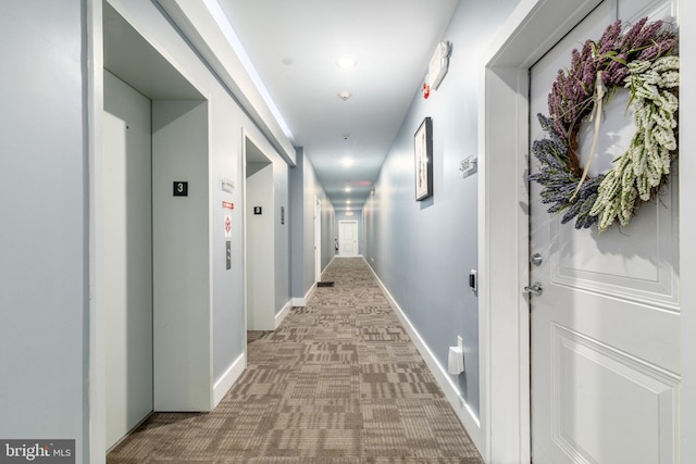 hallway featuring elevator and carpet