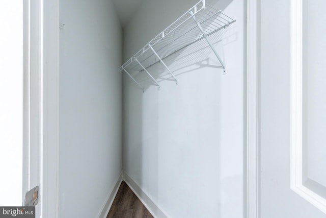 walk in closet featuring dark hardwood / wood-style floors