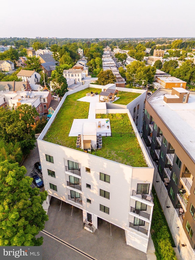 bird's eye view