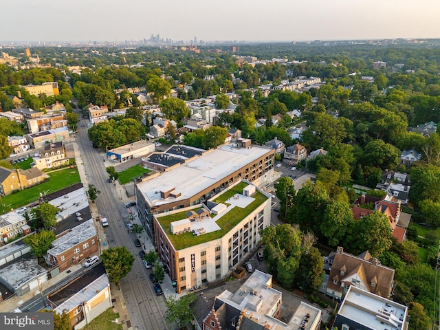 bird's eye view