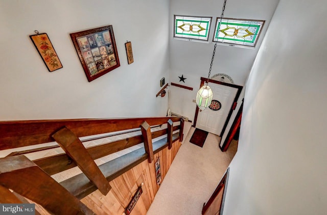 stairway with a towering ceiling and carpet floors