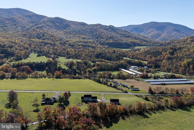 view of mountain feature