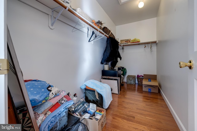 walk in closet with wood-type flooring