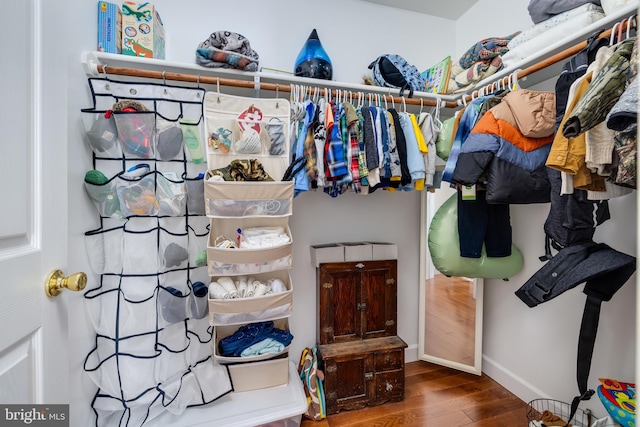 walk in closet featuring wood-type flooring