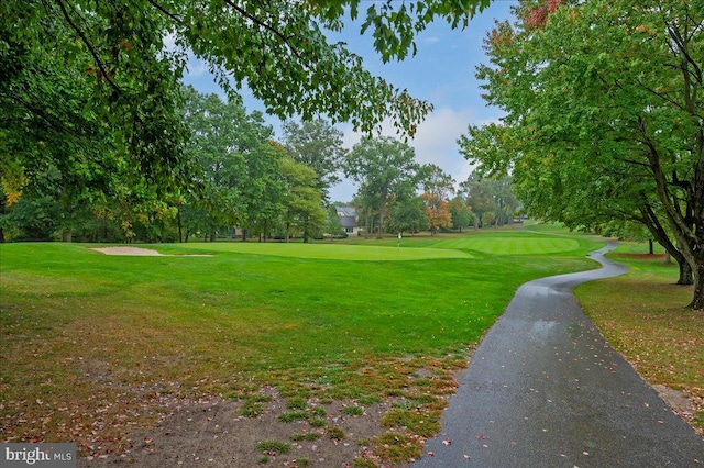 view of community with a lawn