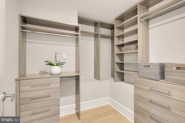 walk in closet with light hardwood / wood-style floors