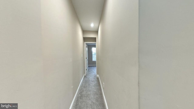 hallway with carpet