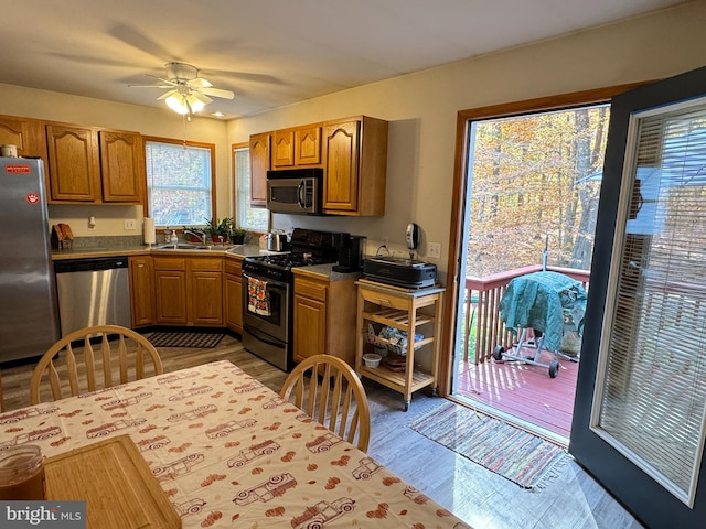 kitchen featuring a healthy amount of sunlight, ceiling fan, stainless steel appliances, and sink