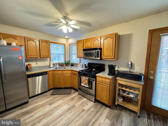 kitchen featuring sink, light hardwood / wood-style flooring, appliances with stainless steel finishes, and a wealth of natural light