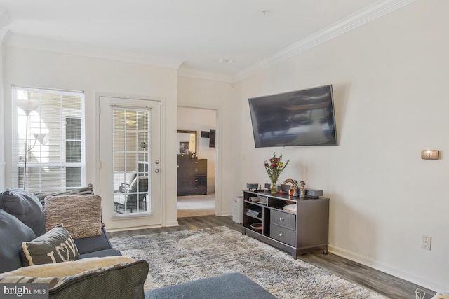 living room featuring crown molding and dark hardwood / wood-style flooring