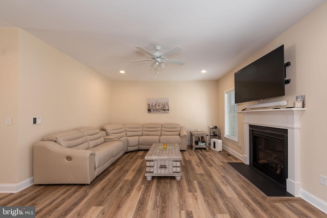 living room with ceiling fan and wood-type flooring