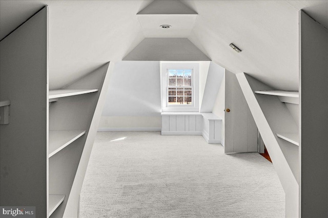 additional living space featuring carpet and vaulted ceiling