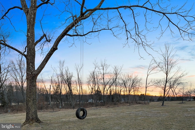 view of yard at dusk