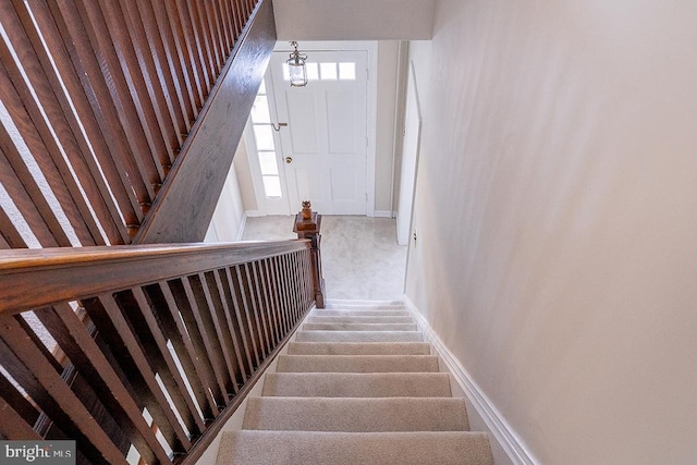 staircase featuring carpet