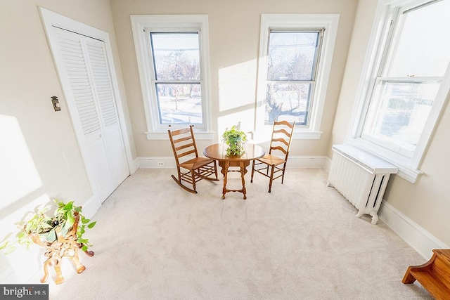 living area featuring light carpet and radiator heating unit