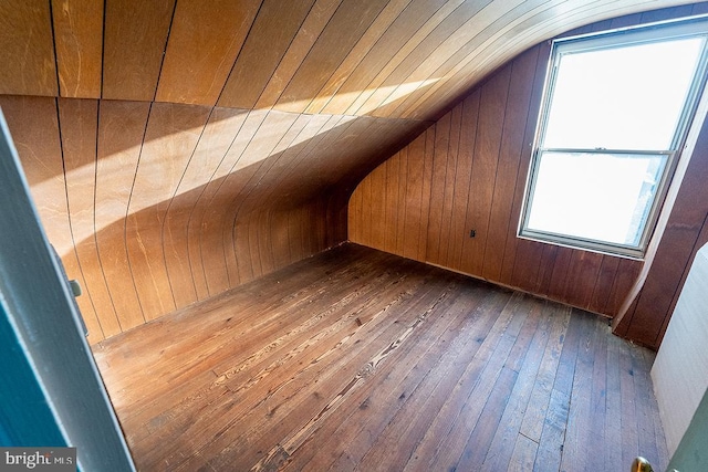 additional living space featuring wood walls, plenty of natural light, dark hardwood / wood-style floors, and lofted ceiling