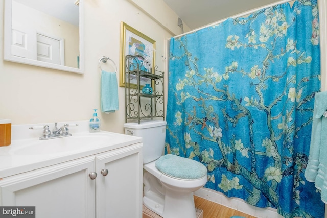 bathroom featuring toilet, vanity, and wood-type flooring