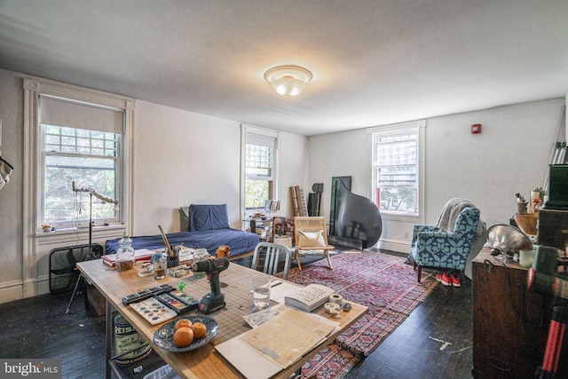 living room featuring dark hardwood / wood-style flooring and a wealth of natural light