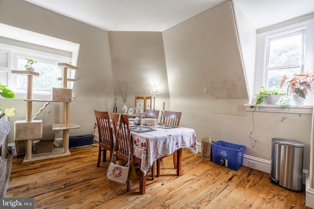 dining area featuring hardwood / wood-style flooring and lofted ceiling