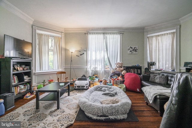 living room featuring ornamental molding and dark hardwood / wood-style floors