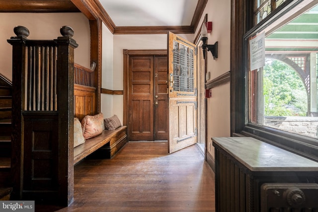 mudroom featuring crown molding and wood-type flooring