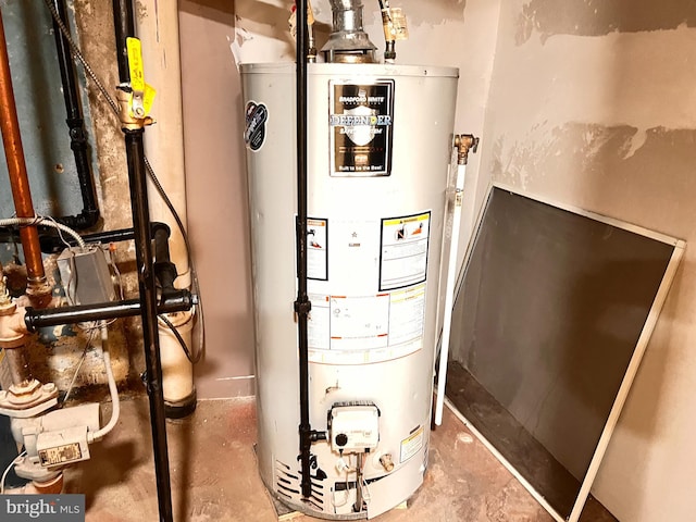 utility room with gas water heater