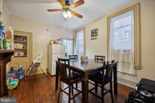 dining room with ceiling fan and dark hardwood / wood-style flooring