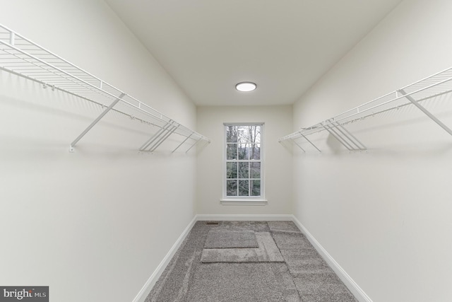 walk in closet with carpet