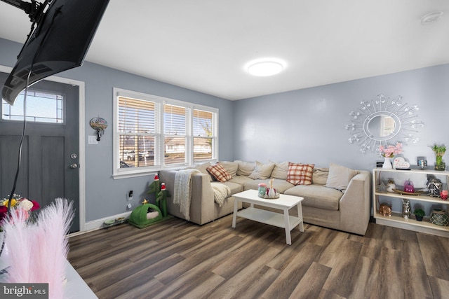 living room featuring dark hardwood / wood-style flooring