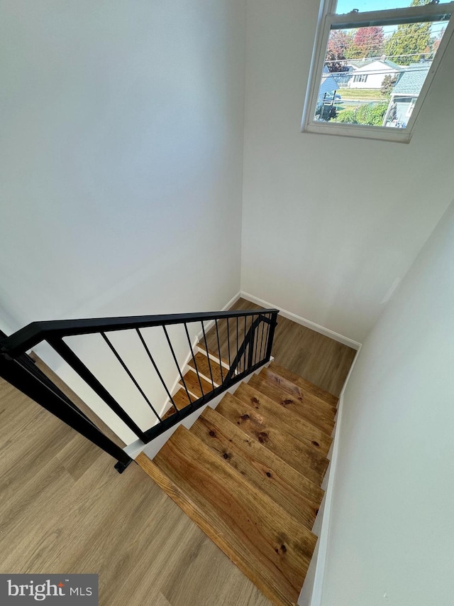 staircase with hardwood / wood-style floors