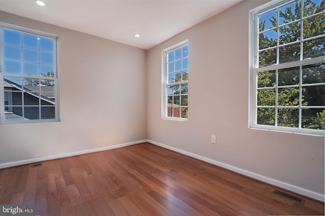 spare room featuring wood-type flooring and a wealth of natural light