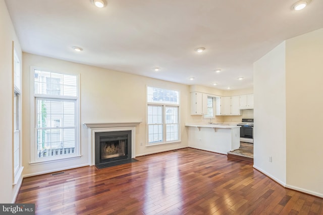 unfurnished living room with sink and dark hardwood / wood-style floors