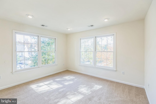 carpeted spare room featuring a wealth of natural light