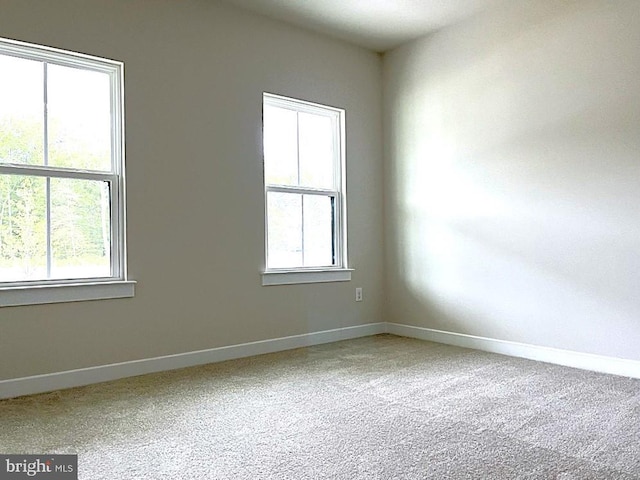 spare room featuring carpet