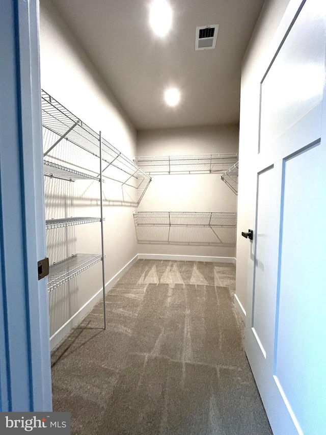 spacious closet with carpet flooring