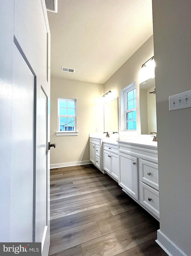 bathroom featuring vanity, hardwood / wood-style flooring, and a wealth of natural light