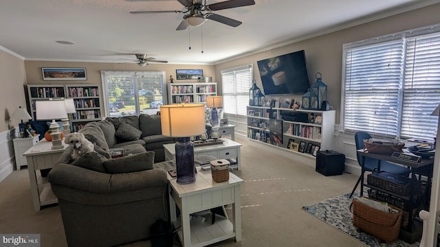 carpeted living room with crown molding and ceiling fan