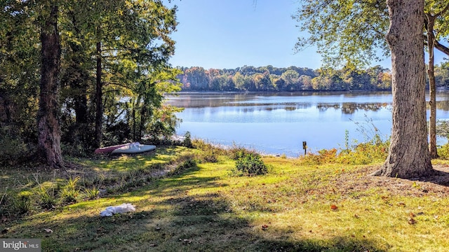 property view of water