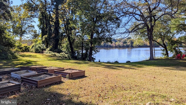 view of yard featuring a water view