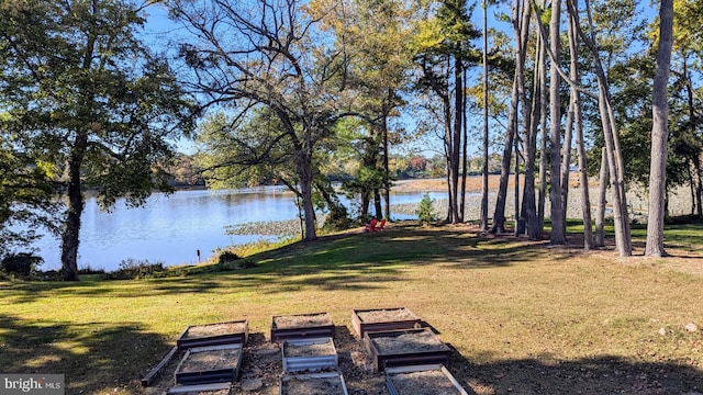 view of yard with a water view