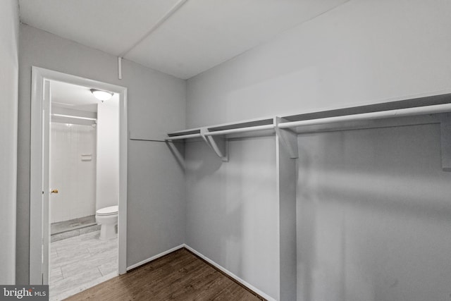 spacious closet featuring hardwood / wood-style floors