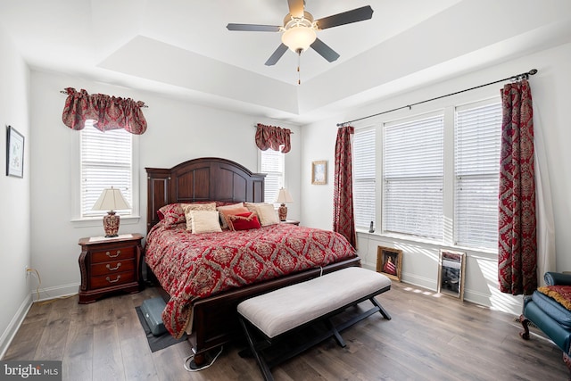 bedroom featuring dark hardwood / wood-style floors, ceiling fan, and a tray ceiling