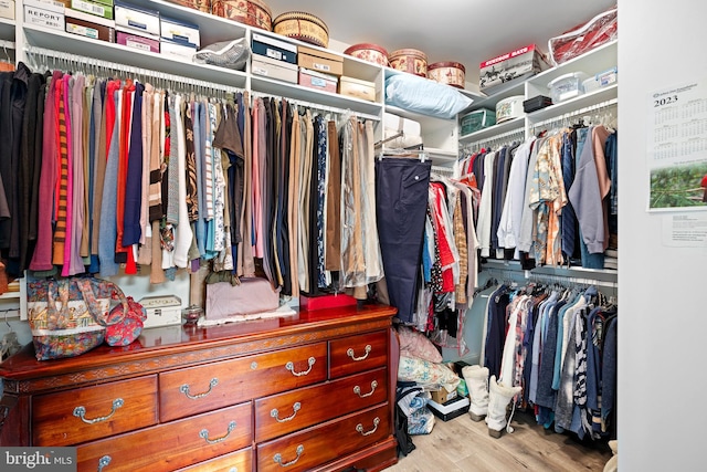 walk in closet featuring light wood-type flooring