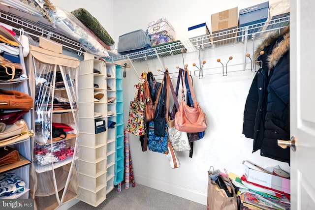 spacious closet featuring carpet floors