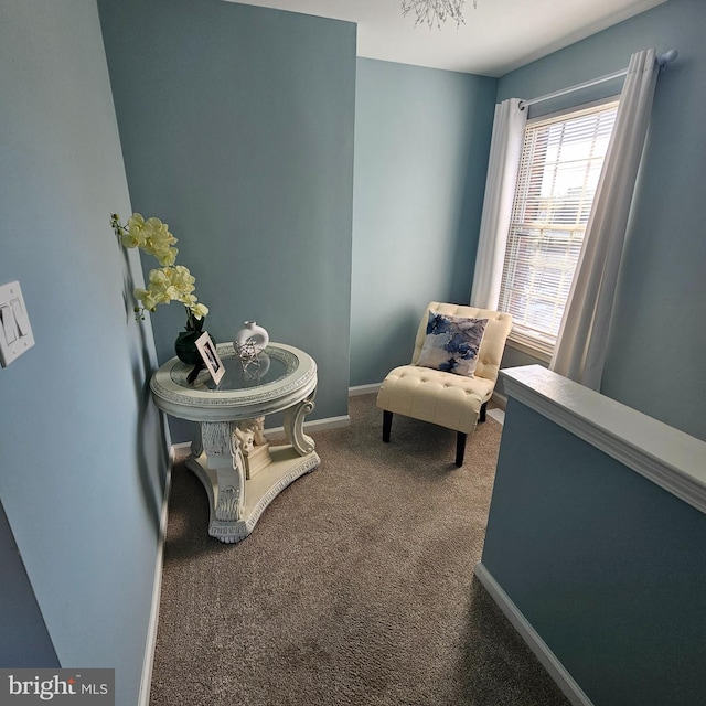 sitting room with carpet floors