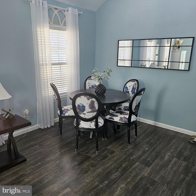 dining room with a wealth of natural light and dark hardwood / wood-style flooring