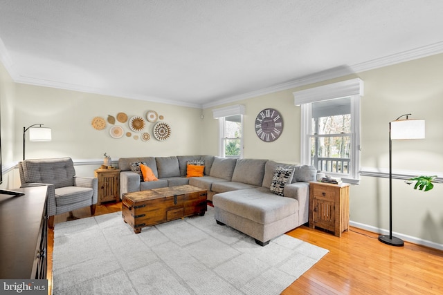 living room with light hardwood / wood-style floors and ornamental molding