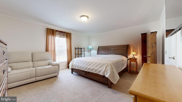 carpeted bedroom with crown molding