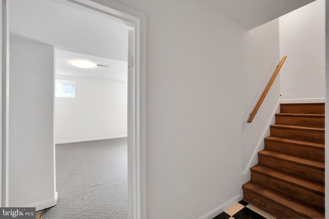 stairway featuring carpet floors