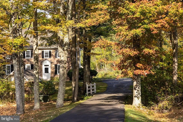 view of home's community